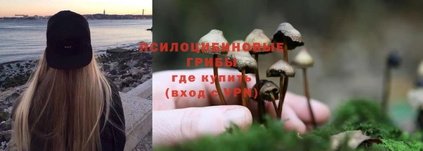шишки Алексеевка
