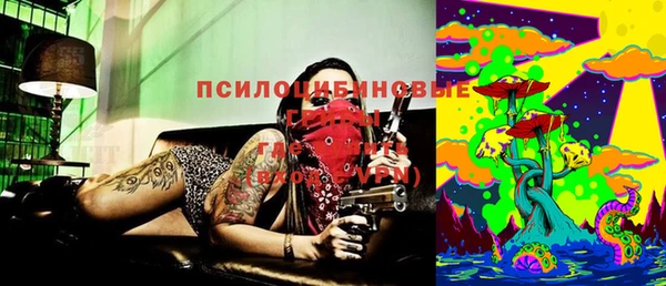 шишки Алексеевка