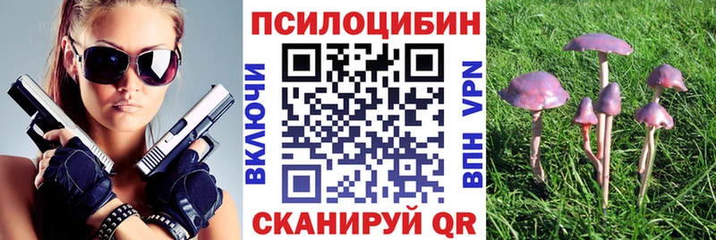 Псилоцибиновые грибы GOLDEN TEACHER  Купить где  Новая Ляля 